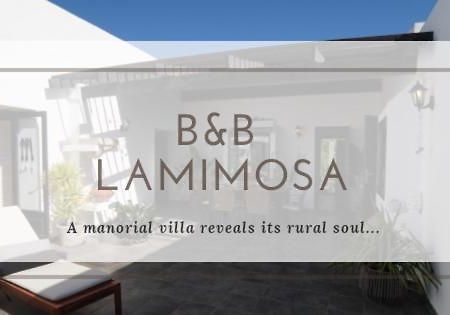 B&B La Mimosa 特吉塞 外观 照片